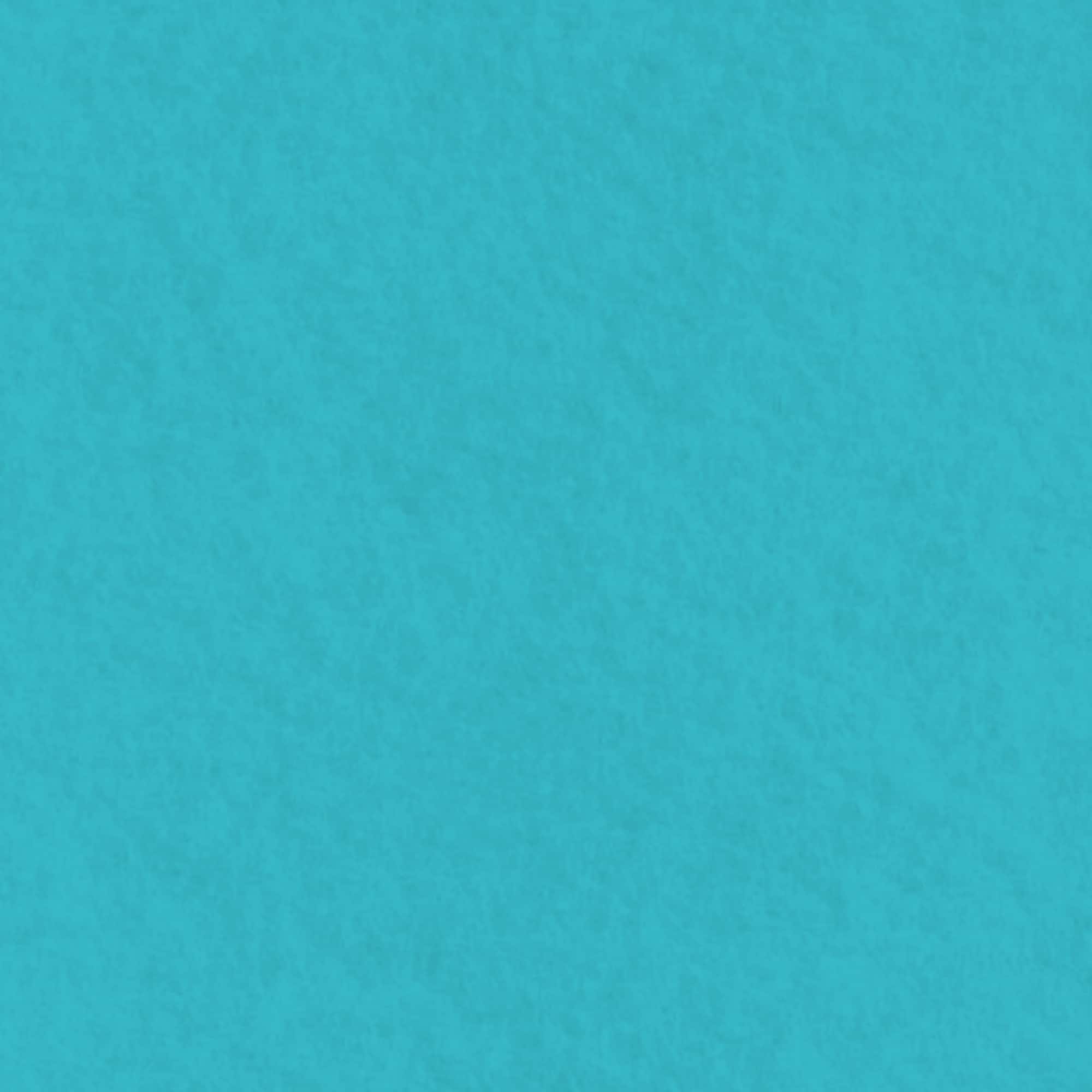 10 yd. Full Bolt: Eugene Textiles Solid Polyester Craft Felt